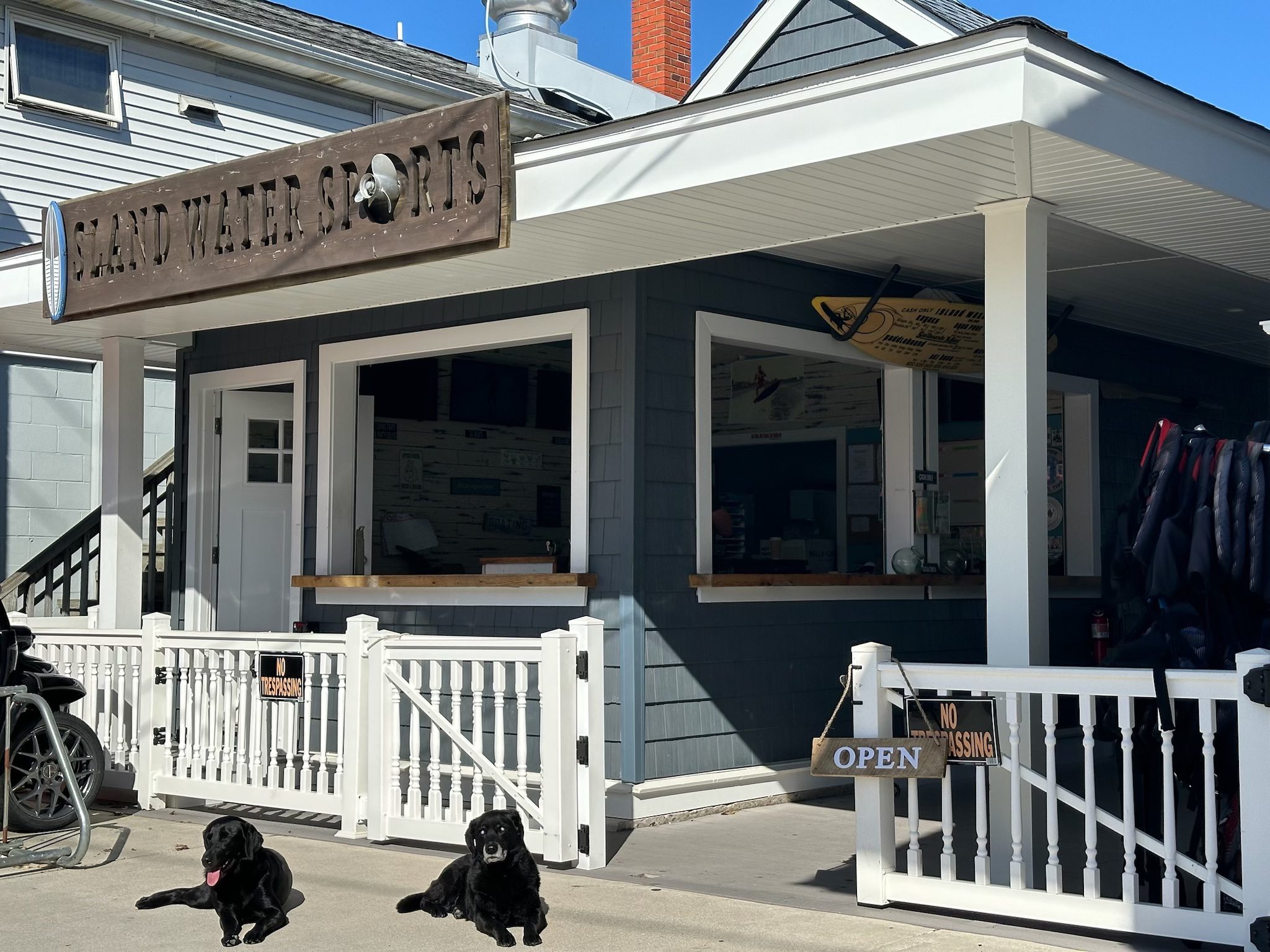 About Dogs Storefront